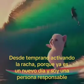 #viralvideo #tiktok #racha #parati #laracha 
