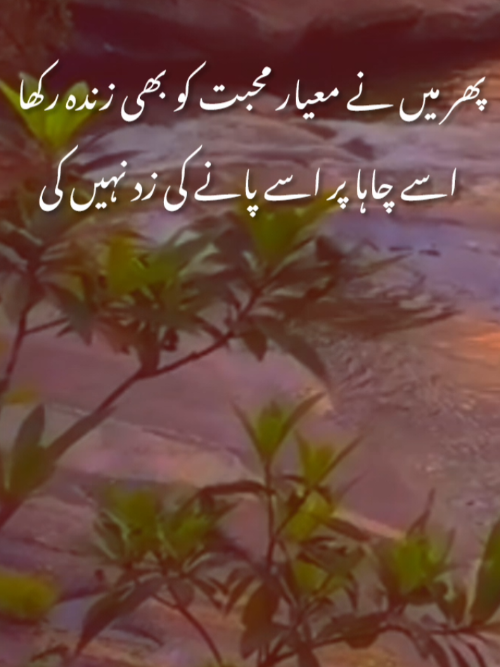 #abdullah_writes219 #fyp #Love 