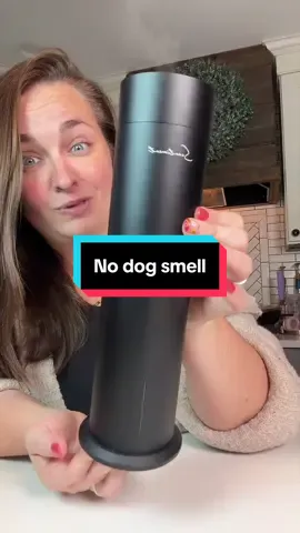 Want your home to smell like a luxury hotel? 🏨✨ The Scentiment Tall Air 2 Diffuser brings luxury home fragrance vibes with cold-air diffusion technology, Wi-Fi and touch controls, a rechargeable battery, and coverage up to 1,000 sq. ft. 🤍 Perfect for living rooms, bedrooms, and anyone who loves a beautifully scented home! Also a great housewarming or holiday gift! 🎁 🛒 Shop now on TikTok Shop! Device only. #Scentiment #TallAir2 #LuxuryHomeFragrance #HotelScent #HomeDiffuser  
