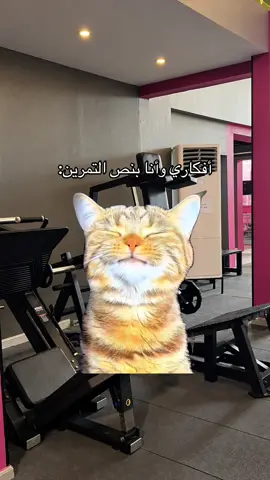#explorer #viral #fyp #اكسبلورexplore #ksa🇸🇦 