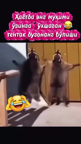 @⚡⚡КИБИР⚡⚡ 