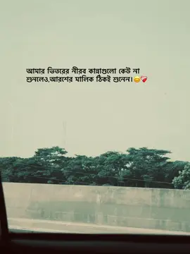 আমার ভিতরের নীরব কান্নাগুলো কেউ না শুনলেও আরশের মালিক ঠিকই শুনেন 😊❤️‍🩹