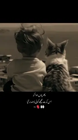 #viwesproblem😌🙏💔 #one_saided_love💔😞 