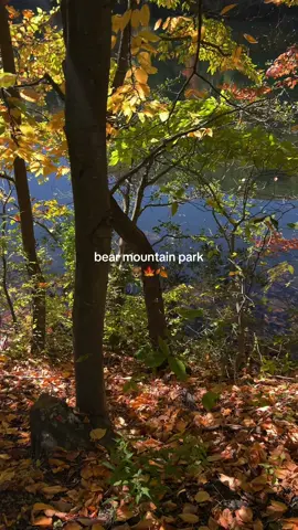 bear mountain state park in new york 🐻🍁🏔️🍂 that foliage!!!  #bearmountainpark #newyork #falltok #fall2000s #newyorkcity 