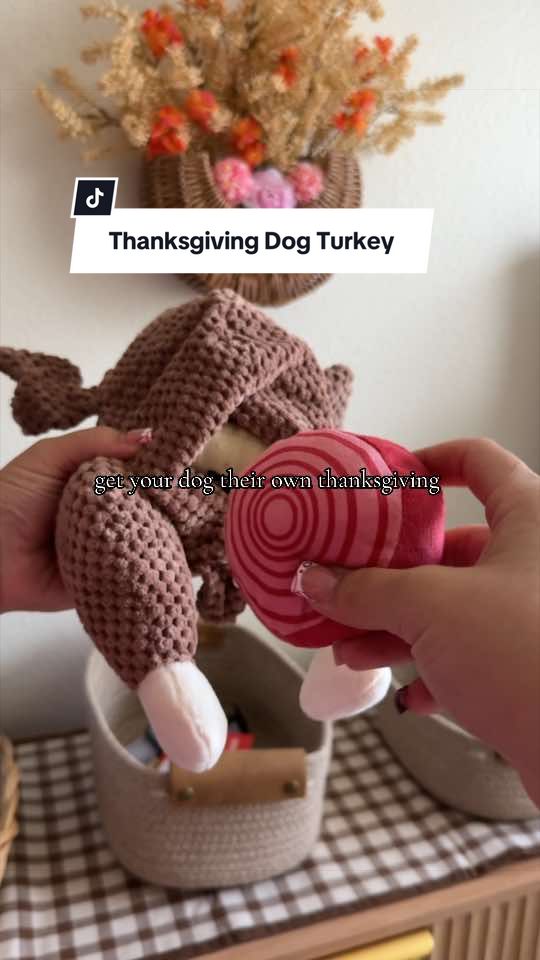 7 toys in 1 turkey 🦃 #dogtoys #dogenrichment #dogpuzzle #dogchewtoy #dogsqueekytoy 