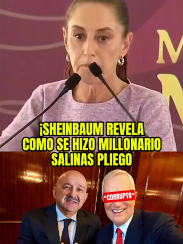 La corrupción también está en el nombre de Salinas Pliego #salinaspliego #claudiasheinbaum #mexico