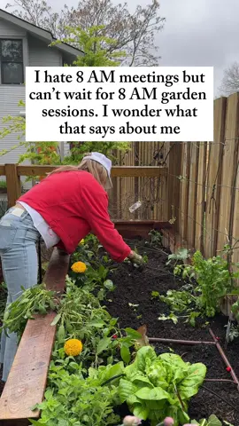 Go to my bio if you love to garden as much as I do. I used to hate waking up early, but ever since I started gardening, I've gotta go water as soon as possible. Sound familiar? Yes or yes? If you feel the same way about your garden, I'll show you how to skip the meetings and stay in the garden all day long while earning an income! #gardening #plants #SmallBusiness #job #9to5 