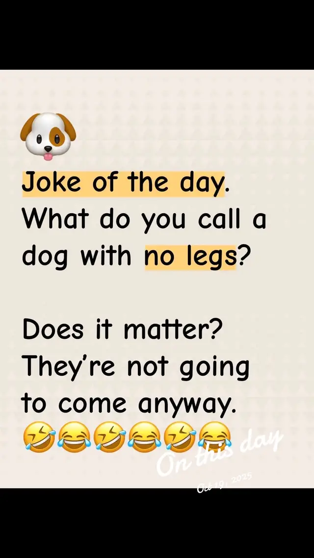 #onthisday #jokes #jokeoftheday #fyp #fyf