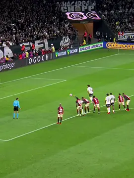 Seedorf vai salvar o Corinthians?