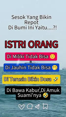 #Meme #MemeCut #CapCut 