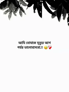 আমি তোমাকে মৃত্যুর আগ পর্যন্ত ভালোবাসবো.!! 😅❤️‍🩹 #foryou #foryoupage #viral #caption #অভিশপ্ত_me🕊️ 