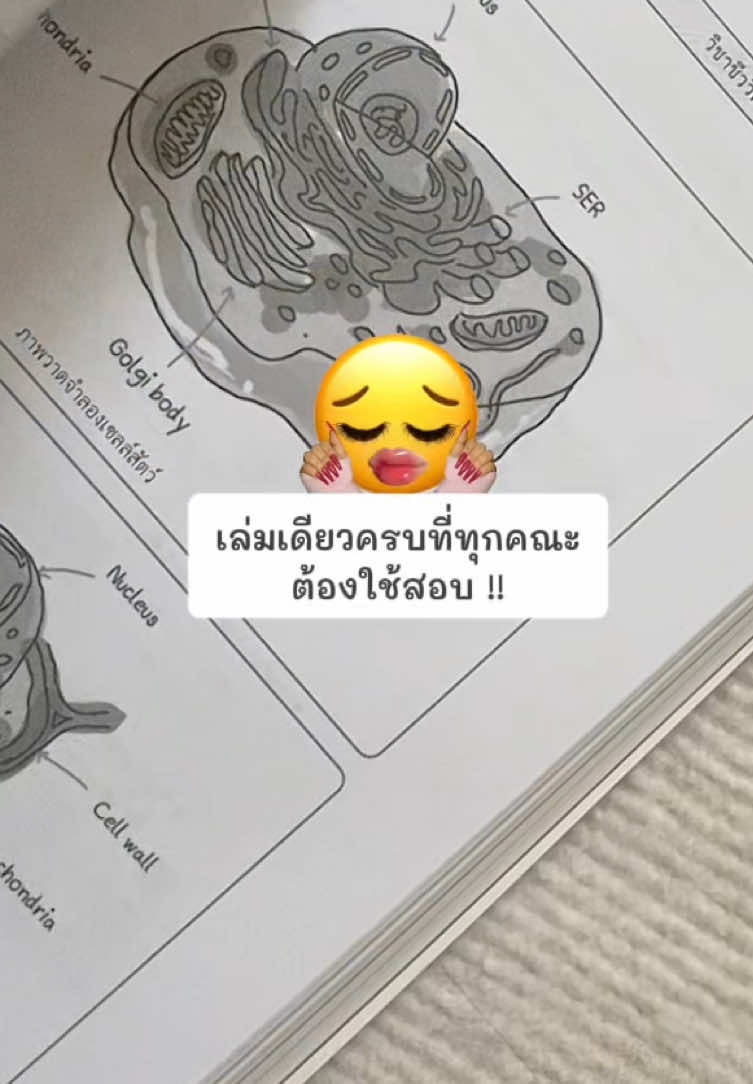 เป็นกำลังใจให้นะคะ 🍤🤍 #jknowledge #tcas #alevel 