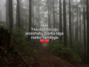 #CapCut ya wyeh qofkas❤️❣️ #fyppp #tiktokv #omerr 