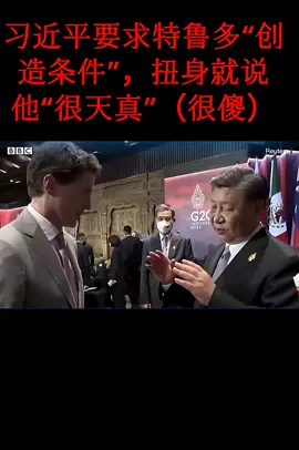 习近平要求特鲁多“创造”什么“条件”?为什么他扭头就告诉翻译说特鲁多“很天真”(很傻很天真)