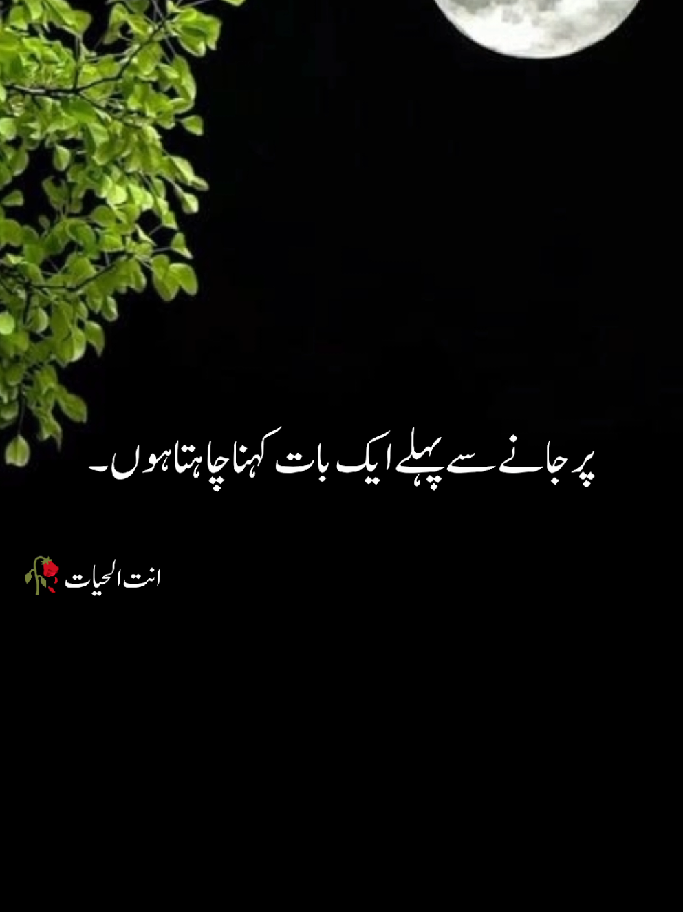 سنو پوسٹ کرو  #tiktokpakistan #sad #viralvideos 