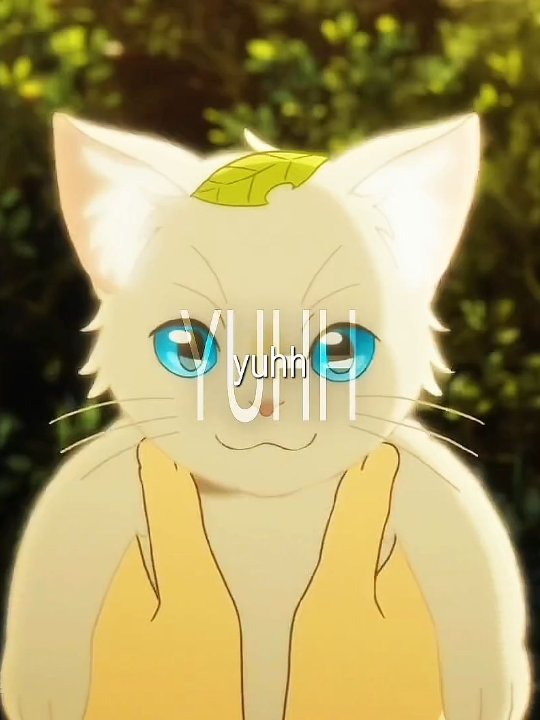 He loves cats, but little does he know, his favorite cat is actually the girl he’ll fall in love with💕#awhiskeraway #animerecommendations #animeedit #margakagenou #fyp 