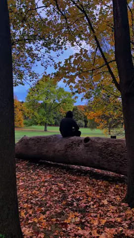 🍂🍁 . . . . #alone #nature #autumn #viral 