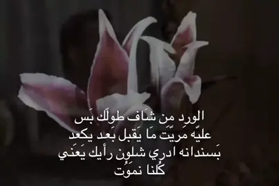 بس عليه مريت !  . . #شعر #اغنية #viral #fyppppppppppppppppppppppp #fyp 