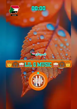 #Lil_G_MUSIC_💀_👑🎧🥁🇸🇩🇸🇸 #جنقو_مسامير_الأرض🇸🇩🇸🇸 #مشاهير_تيك_توك_السودان #الشعب_الصيني_ماله_حل😂😂 