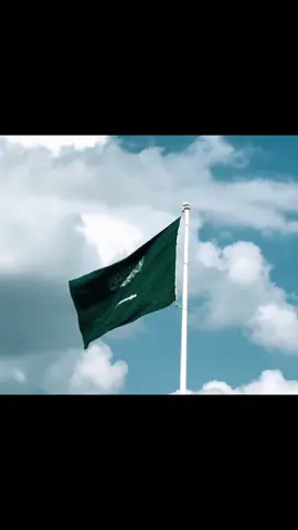 يعد برج المملكة واحدًا من أبرز المعالم المعمارية في الرياض، ورمزا حديثًا يعكس تطور المملكة العربية السعودية ونهضتها العمرانية. منذ افتتاحه، أصبح البرج وجهة رئيسية للسكان والزوار، ليس فقط لارتفاعه المميز، بل أيضًا لما يقدمه من مرافق متنوعة وتجربة فريدة. تم افتتاح برج المملكة عام 2002، وهو مشروع تابع لشركة شركة المملكة القابضة التي يملكها الأمير الوليد بن طلال. يبلغ ارتفاع البرج حوالي 302 متر، ويتكون من 99 طابقًا، ما جعله لفترة طويلة أحد أطول المباني في الشرق الأوسط، تضميمه الفريد الذي يُشتبه فتحة القوسة فلي عط أعلاه يميزه عن بقية ناطحات السلحاب، وقد، صمد ليكون تحفة معمارية تجمع بين الحداثة والهوية المحلية. يضم البرج مجموعة واسعة من المرافق، منها مكاتب إدارية، وشقق سكنية فاخرة، بالإضافة إلى فندق فورسيزونز الرياض الذي يعد من أفخم الفنادق في المدينة. كما يحتوي على مركز تسوق ضخم يعرف باسم مملكة مول، ويضم العديد من العلامات التجارية العالمية والمطاعم الراقية. من أبرز معالم البرج 