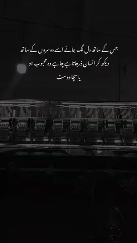 #zakirtypesofficai #deeplines #fyp #viralvideo 