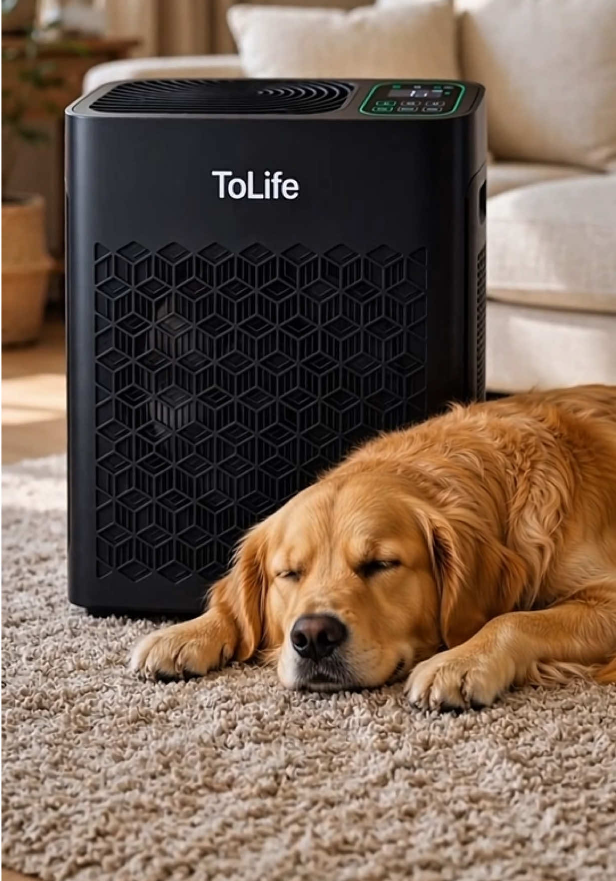 El purificador ToLife TZ-K2 ayuda a filtrar polvo, partículas y caspa de mascotas. Cuenta con modo automático, indicador de calidad del aire y cobertura de hasta 1,095 pies cuadrados. 🔥 ¡Aprovecha la oferta disponible y disfruta de un ambiente más fresco para toda tu familia! #PurificadorDeAire #ToLife #PetFriendlyHome #AirPurifier #HomeEssentials 