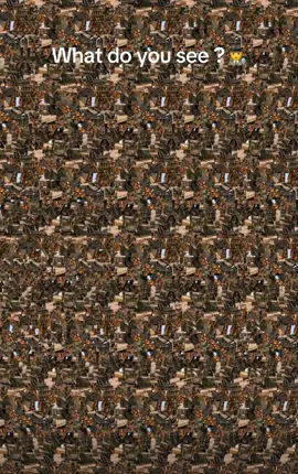 #creatorsearchinsights describe what you see 🕵️ #stereogram #optic #illusion #illusionchallenge 