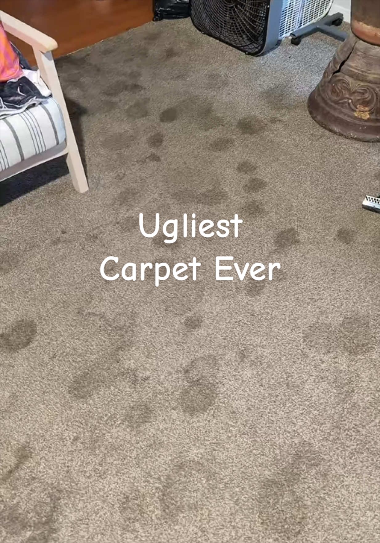 #carpetcleaning #cleaning #clean #carpetcleaner #tiktokshopblackfriday 
