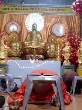 sáng gõ mõ chiều gõ trứng #thichtamphuc 
