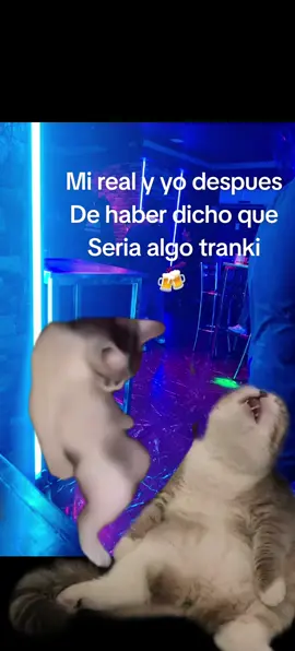 La última vez cmsre😅 #parati #humor 
