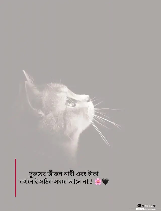 ** ** ** ** *Maksudnya 