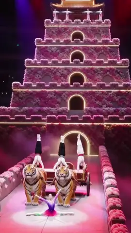 Traditional Chinese opera performance / High-difficulty moves - Do not imitate - Intangible Cultural Heritage#Girl #How #Traditional #feature_this #Chinese #花旦 #刀马旦 