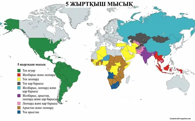 Әлемдегі ірі жыртқыш мысықтардың (яғни ягуар, жолбарыс, леопард, қар барысы және арыстан) таралу картасы қалай өзгеретінін білесіз бе?   Картаға үңілсек:  🟢 Тек ягуар – негізінен Оңтүстік және Солтүстік Америкада мекендейді.    🔵 Тек арыстан – Африканың белгілі бір аймақтарында ғана сақталған.    🟦 Жолбарыс, леопард және қар барысы – Еуразияның ұлан-ғайыр аумағын (соның ішінде Қазақстанды да) қамтиды!    ⚫ Тек қар барысы – біздің өңірлердегі таулы аймақтардың символы.   Табиғаттың бұл керемет әрі қауіпті жыртқыштары туралы не білесіз? Пікірге жазыңыз! 👇 #қазақстан #табиғат #жануарлар #факты #хищники   