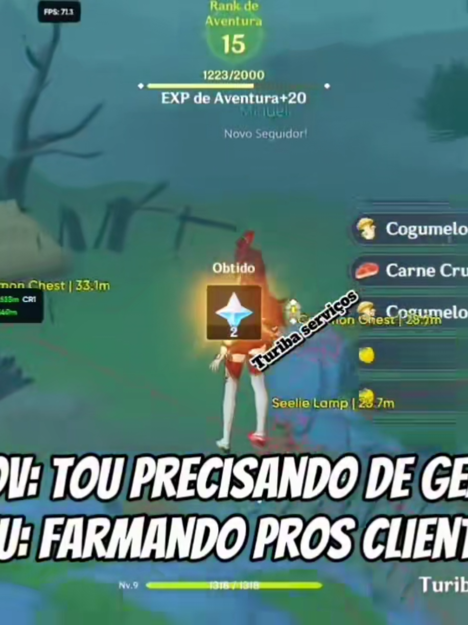#genshin #GenshinImpact #genshinservice #genshinteleport #vaiprofycaramba 