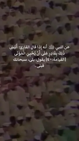 #علي_جابر #السعودية #قران #تلاوة_خاشعة #قران_كريم 