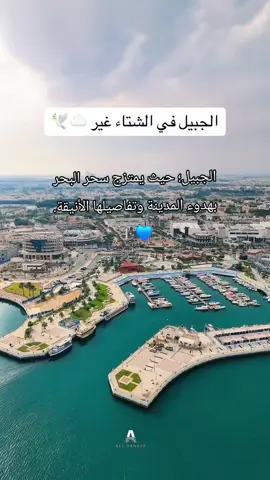حيث يرسو الجمال وتتحدث تفاصيل البحر الهادئة عن روعة المكان هنا تندمج حداثة المدينة بعراقة البحر لتُشكل لوحة فنية تأسر القلوب الجبيل  عانقت البحر فأصبحت قصة من جمال. 🌊🏙️ #اجواء_الشتاء #اجواء_الجبيل #الجبيل  #شاطئ_النخيل  #الجبيل_شاطئ_الفناتير @المصور علي حنيف 📸♥️ 