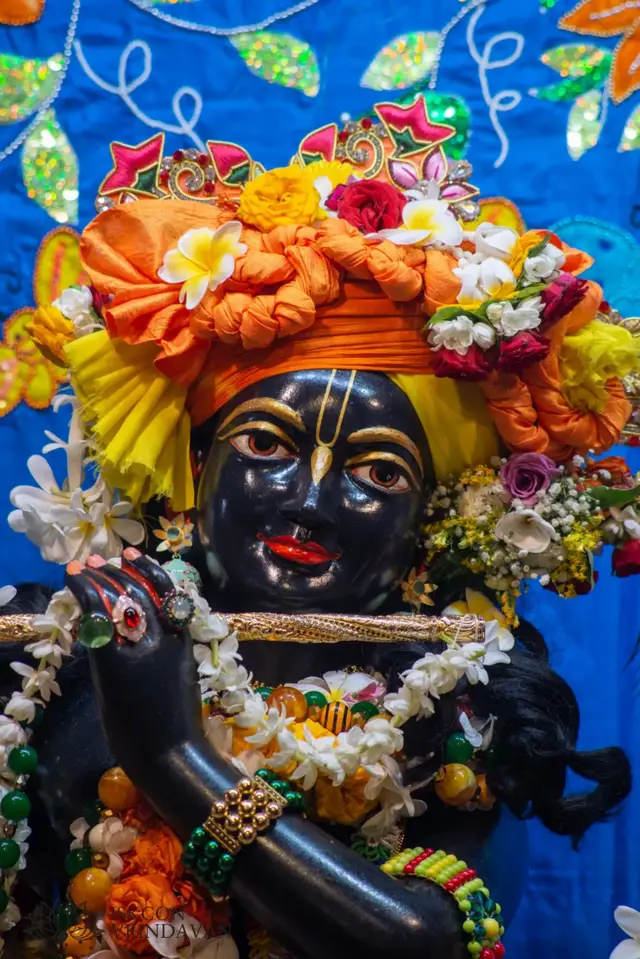 श्रृंगार दर्शन !! Shringar Darshan on 21th October 2026 Iskcon Vrindavan 🙏🏼🌼🥰❤🦚🌿 हरे राम हरे राम, राम राम हरे हरे। हरे कृष्ण हरे कृष्ण, कृष्ण कृष्ण हरे हरे॥ #fyp #foryoupage❤️❤️ #viralvideos #krishna #bhakti 