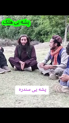 پشه یی سندره واوری او حوند تریو واخلی #100kviews #پشه_یی_تاجیک_پشتون_هزاره_ازبیک 
