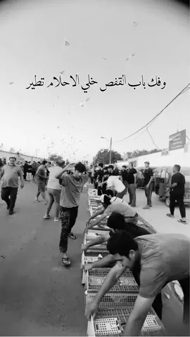 هذا الريل حسب طلبكم ♥️ #fyppppppppppppppppppppppp #explore #تصاميم #اغاني 
