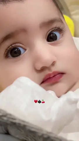 #♾️❤️ #የmዋnegset👸🐶🎀 #myእርግቦቼ🕊🌍💜🍬🍬🌍💜👑🥀🔐 #viralvideo 