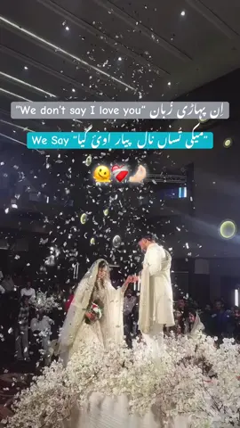 We don’t Say I love You 😘❤️  We say میکی تُساں نال پیار اوئ گیا🤌🏻🫠🥀❤️‍🩹 #poetrystatus #trendingpoetry #growmyaccount✅ #unfreezemyacount #fry 