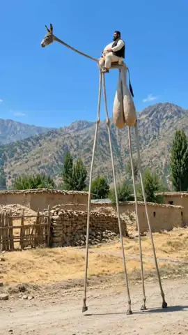 Very funny donkey 😅 Follow me for more videos #funnyanimals #karachi #funny #animals #tiktokgrowthchallenge 