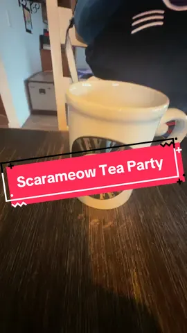 Scarameow opening up at at tea party with friends. Softer voice. 🥰 #scaramouche #scarameow #GenshinImpact #voiceactor #sandrone 