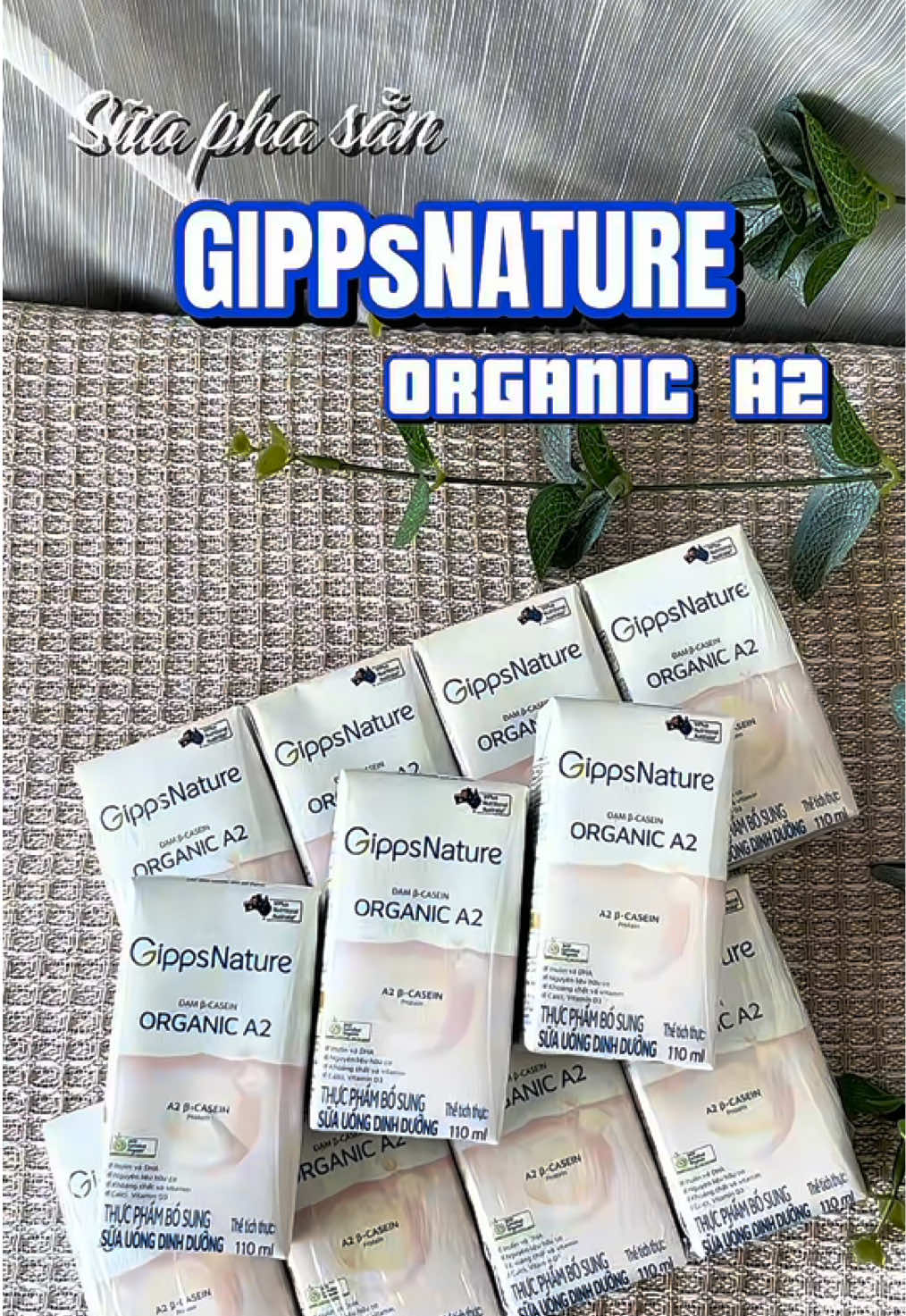 Sữa này chiến, Gạo uống 1 hộp xong xin thêm hộp nữa 😱😱 #gippsnature #OrganicA2 #mebimchill 