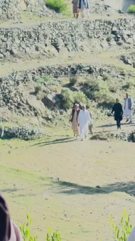MPA sb❤️✌🏼#foryoupage #foryoupage #fyp #fyp #fyp @Sahib Zada Sana Ullah MPA PK11 @MALAK KHAN @🔥⚔️𝐒𝐇𝐀𝐙𝐀𝐈𝐍🦅 @🍾🍷❓ 