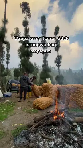 Lebih baik direndahkan dari pada merebut hak orang lain.#drivermuda #gunungbromo#potatoes #fypシ #fyp 