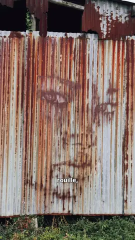 J’ai été refusé des beaux art … mais je me lance à fond dans mon art !  Abonne toi si tu veux suivre mon aventure !  #artist #nature #paint #streetart #painting 