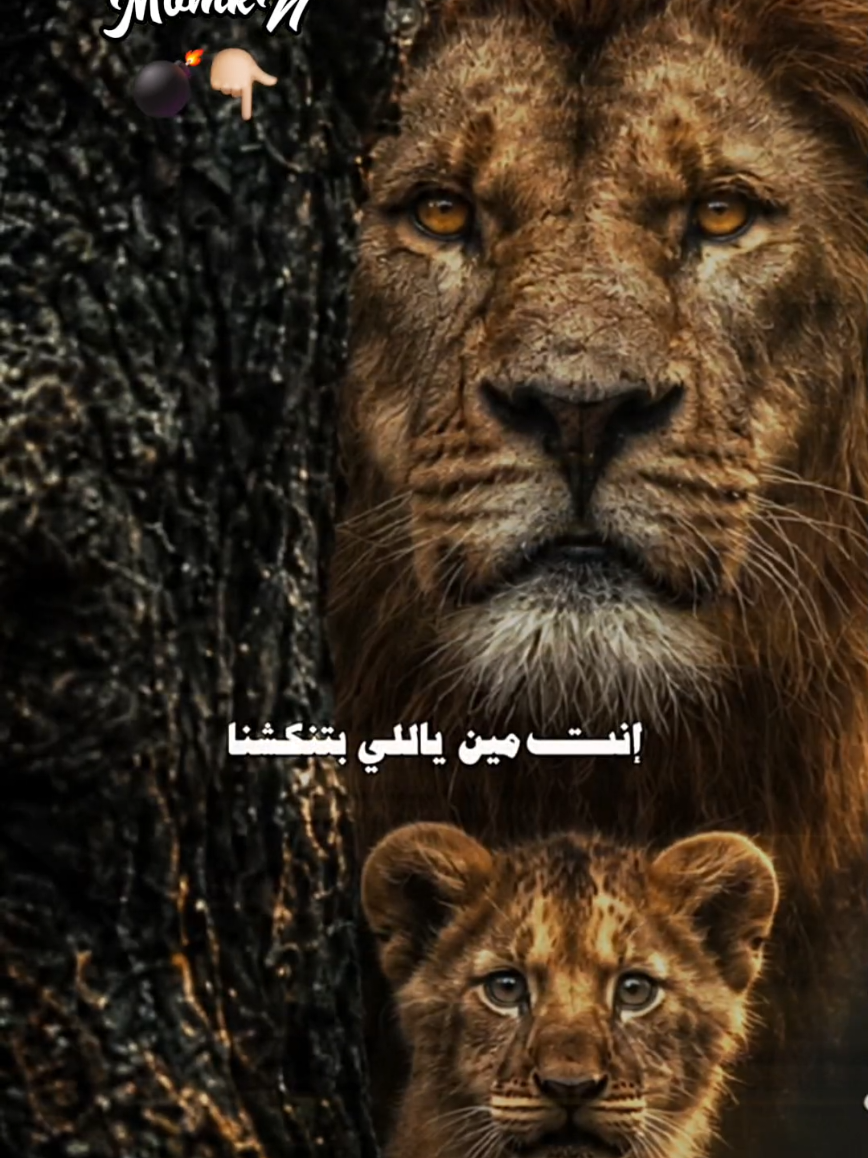 #CapCut انت مين 👇🏼💣#tikto #قوالب_كاب_كات #foryou #تصميم_فيديوهات🎶🎤🎬 