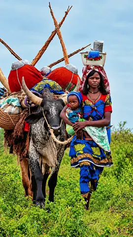 #Mahsalla #TikTok #poulagou #🍀🐏🍀🌳 #🛖🌳 🐄🐄🍀
