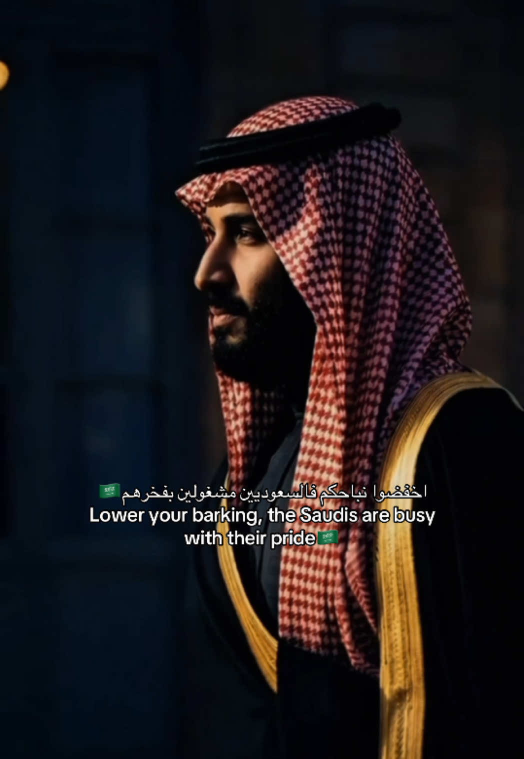 صوت وطني جديد يفقع كبود الاعداء🇸🇦👌🏻 #السعودية_خط_أحمر #المملكة_العربية_السعودية #محمد_بن_سلمان 